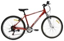 Велосипед Alpine Bike 1000S C-class