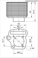 Цилиндр ДВС BSE ZS154FMI
