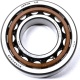 CYL.ROLL BEARING NJ205 Koshine