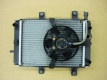 Радиатор системы охлаждения с вентилятором в сборе SYM GTS 300
