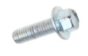 SCREW M6 SELF LOCKING Koshine