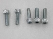 SOCKET BOLT 8X25 SYM Maxsym 500