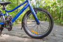Велосипед детский Alpinebike Pegas 1-20, один размер, цвет Синий
