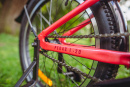 Велосипед детский Alpinebike Pegas 1-20, один размер, цвет Розовый
