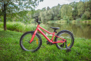Велосипед детский Alpinebike Pegas 1-20, один размер, цвет Розовый