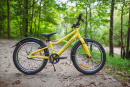 Велосипед детский Alpinebike Pegas 3-20, один размер, цвет Желтый