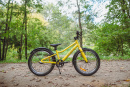 Велосипед детский Alpinebike Pegas 3-20, один размер, цвет Желтый