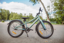 Велосипед детский Alpinebike Pegas 3-20, один размер, цвет Бирюзовый