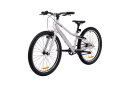Велосипед подростковый Alpinebike Pegas 3-24, один размер, цвет Серый