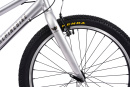 Велосипед подростковый Alpinebike Pegas 3-24, один размер, цвет Серый