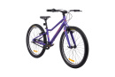 Велосипед подростковый Alpinebike Pegas 3-24, один размер, цвет Фиолетовый
