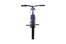 Велосипед подростковый Alpinebike Pegas 3-24, один размер, цвет Фиолетовый