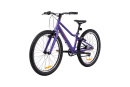 Велосипед подростковый Alpinebike Pegas 3-24, один размер, цвет Фиолетовый