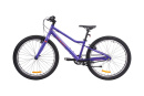 Велосипед подростковый Alpinebike Pegas 3-24, один размер, цвет Фиолетовый