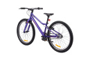 Велосипед подростковый Alpinebike Pegas 3-24, один размер, цвет Фиолетовый