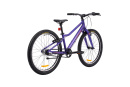Велосипед подростковый Alpinebike Pegas 3-24, один размер, цвет Фиолетовый
