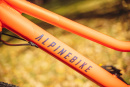 Велосипед подростковый Alpinebike Pegas 7-24, один размер, цвет Оранжевый