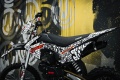 Питбайк BSE EX 125e 17/14 Max13 White Red 1