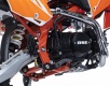 Питбайк BSE MX 125 17/14 (ZS) Racing Orange 3