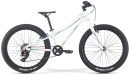 Велосипед Merida Matts J24+ Eco Р:One Size GlossyWhite/TealGold