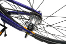 СЭМПЛ 26 Велосипед детский  Alpinebike Pegas 3-24 цвет 2