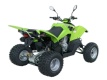 Квадроцикл QuadRaider 300 SS