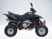 Квадроцикл QuadRaider 450