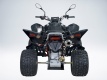 Квадроцикл QuadRaider 450