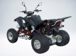 Квадроцикл QuadRaider 450