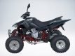 Квадроцикл QuadRaider 450