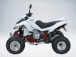 Квадроцикл QuadRaider 450