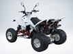 Квадроцикл QuadRaider 450