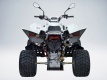 Квадроцикл QuadRaider 450