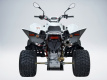 Квадроцикл QuadRaider 450