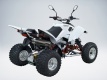 Квадроцикл QuadRaider 450