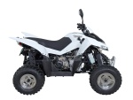 QR 300 IRS
