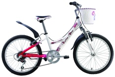 Детский велосипед Alpine Bike 250SL, 20"