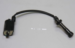 Катушка зажигания 450 61109A12100