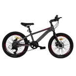 Детский велосипед Maxiscoo "Horizon" (2022), 7 Скоростей, 20", Серый Матовый