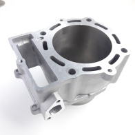 Цилиндр ДВС BSE ZS194MQ