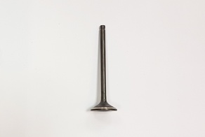 Клапан впускной BSE ZS166FMM