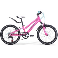Велосипед Merida Matts J20 Girl  One Size 2019  Pink/Blue/Grey