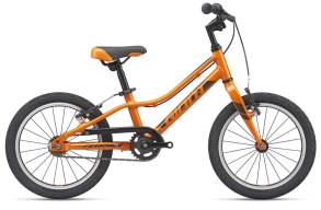 Велосипед Giant ARX 16 F/W 2020, 16" размер: OneSizeOnly, цвет: оранжевый
