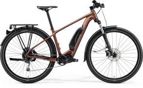 Велосипед  Merida (2021) eBig.Nine 300 SE EQ SilkBronze/Black