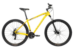 Велосипед Welt Raven 1.0 D 29 2023 Dark Yellow