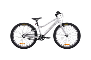 Велосипед подростковый Alpinebike Pegas 3-24, один размер, цвет Серый