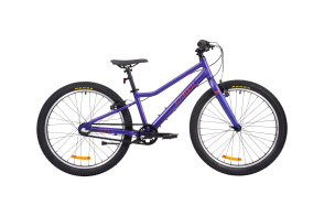 Велосипед подростковый Alpinebike Pegas 3-24, один размер, цвет Фиолетовый