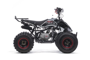 Квадроцикл BSE ATV 150e 8/8