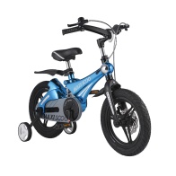 Велосипед 2-х колесный Детский Maxiscoo "Galaxy" (2021), Делюкс,Темно-синий Перламутр