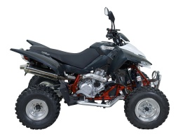 Квадроцикл QuadRaider 450